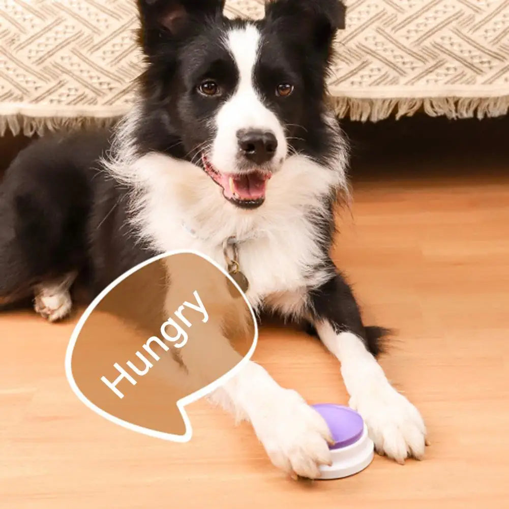 Pet Toy for Cats Dogs