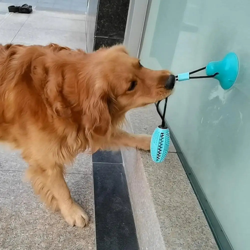 Dog Chew Toys for Aggressive Chewers