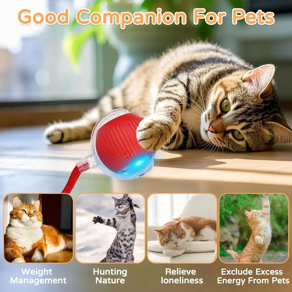 Dog Cat Interactive Ball. Automatic Rolling Ball