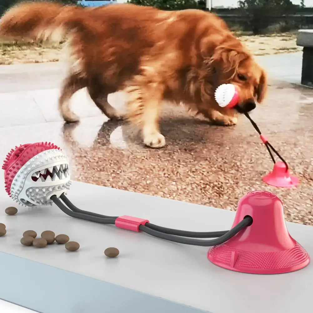Dog Chew Toys for Aggressive Chewers