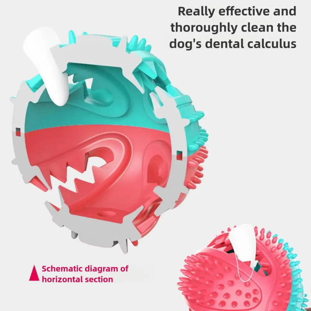 Dog Chew Toys for Aggressive Chewers