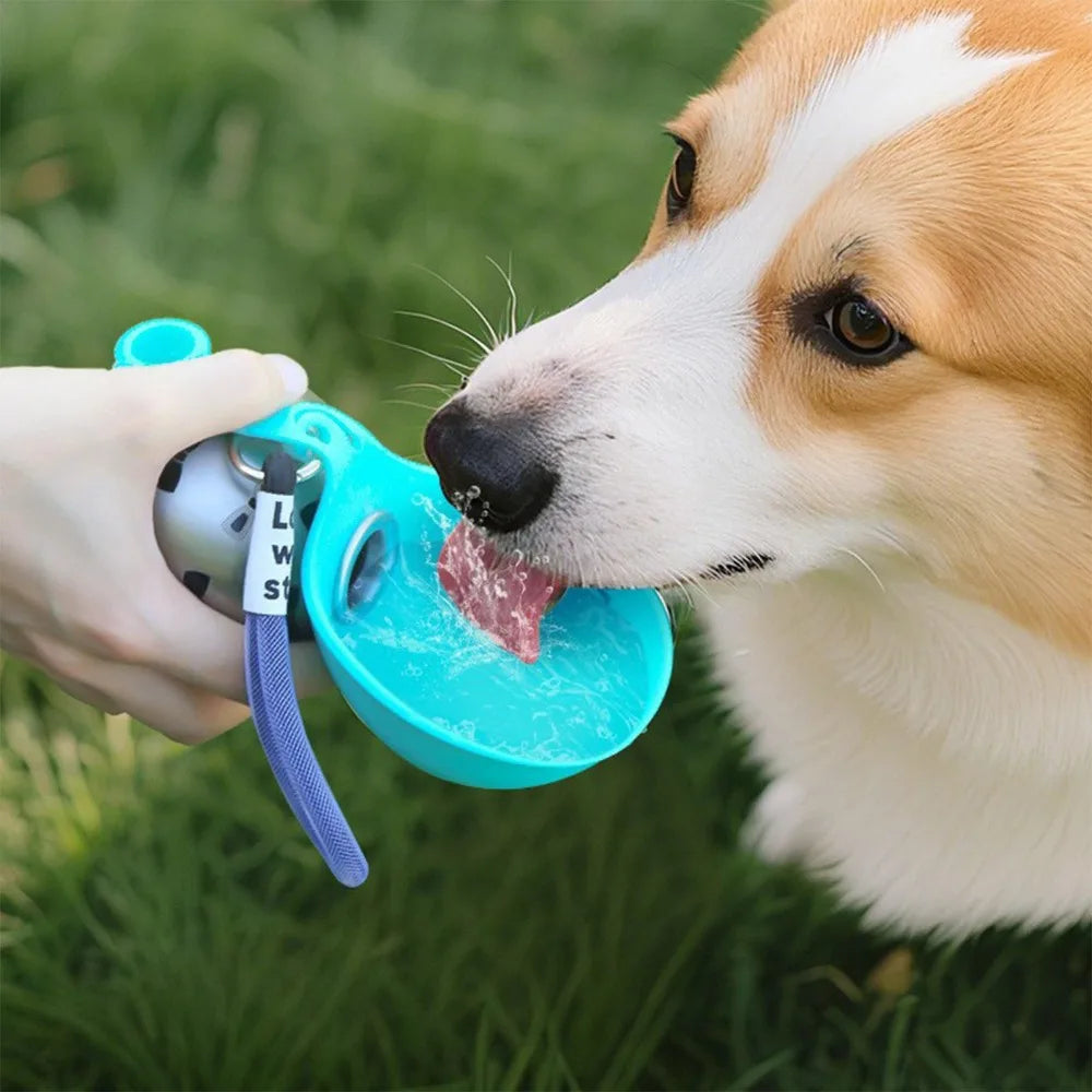 Dog Water Bottle with Removable Silicone Bowl