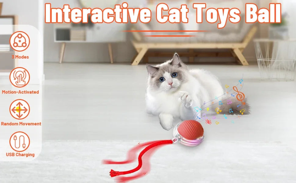 Dog Cat Interactive Ball. Automatic Rolling Ball
