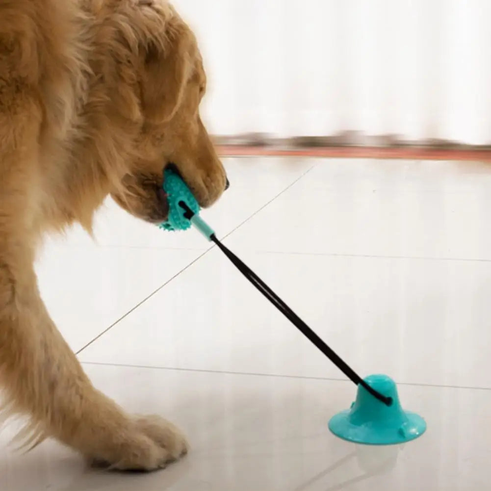 Dog Chew Toys for Aggressive Chewers