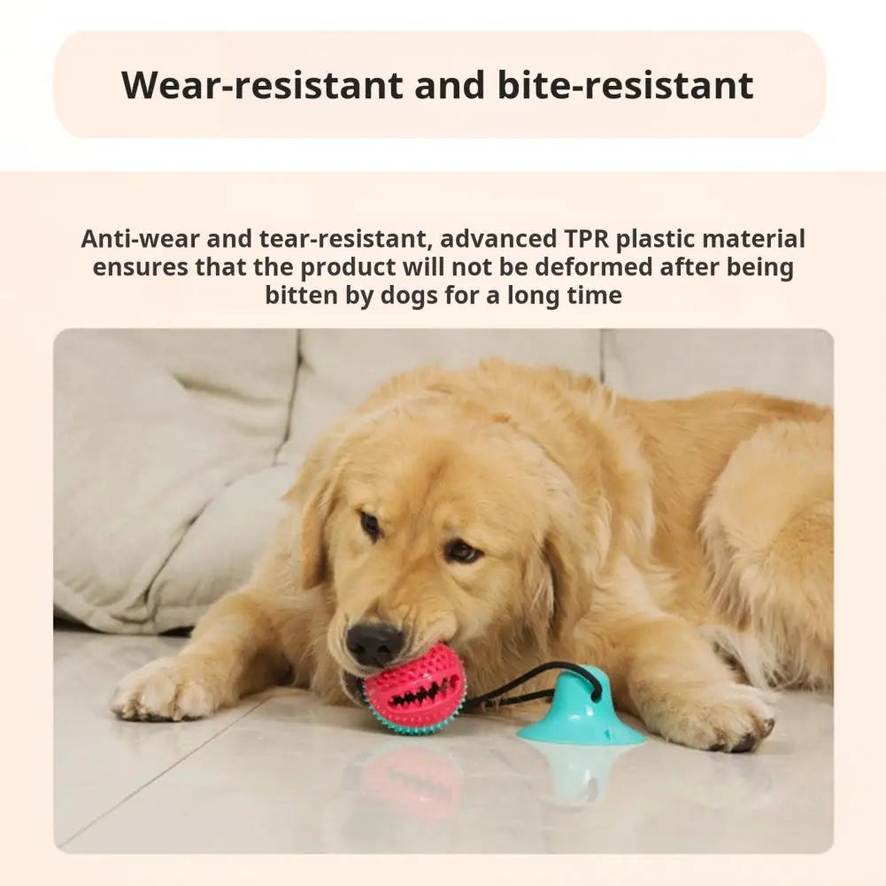 Dog Chew Toys for Aggressive Chewers