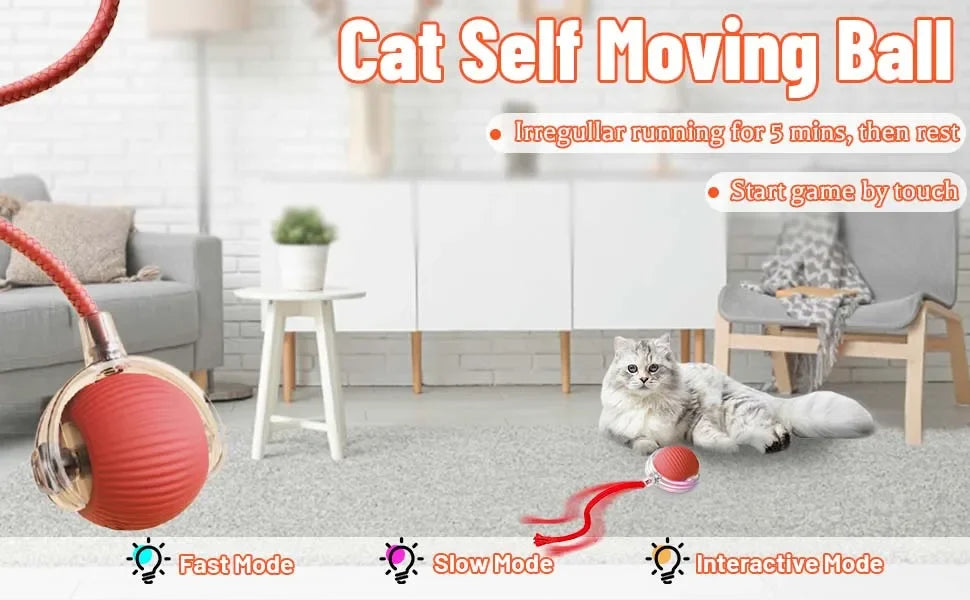 Dog Cat Interactive Ball. Automatic Rolling Ball