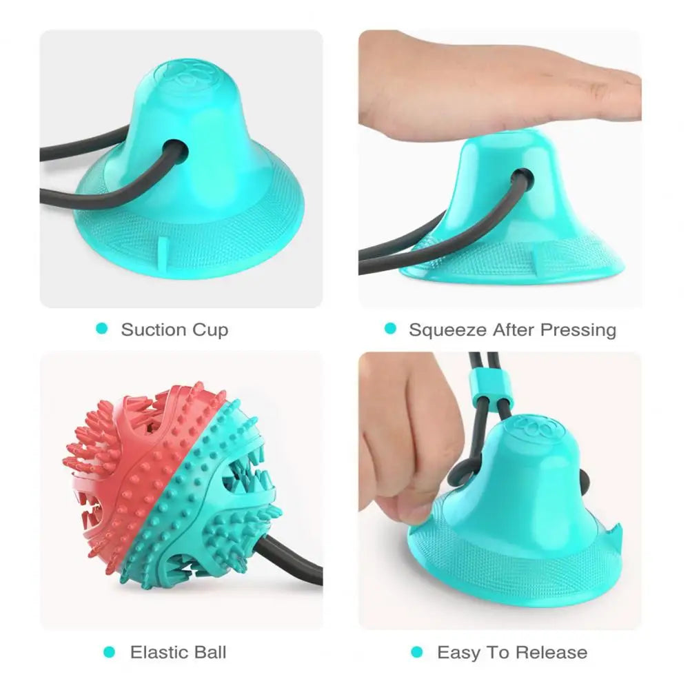 Dog Chew Toys for Aggressive Chewers