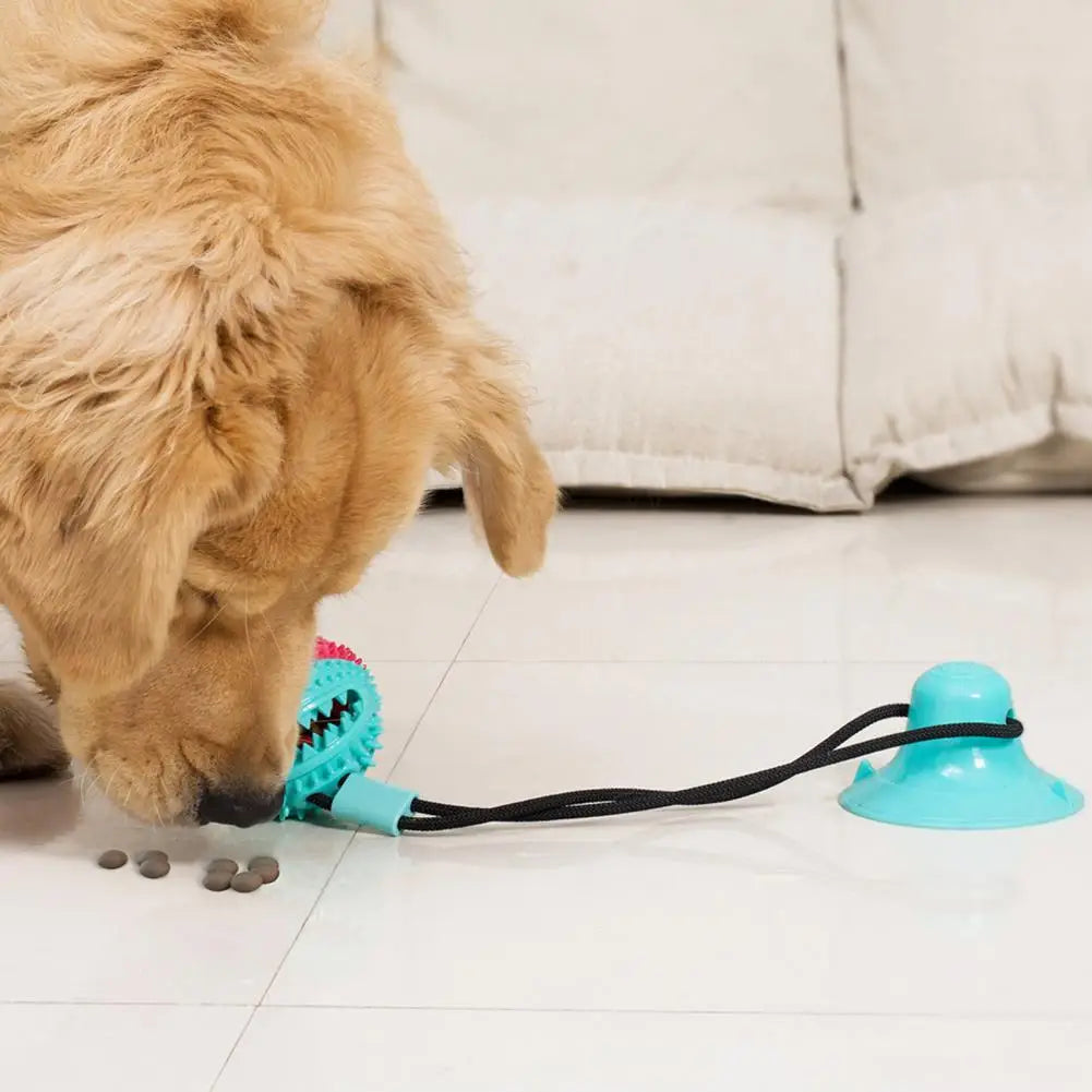Dog Chew Toys for Aggressive Chewers