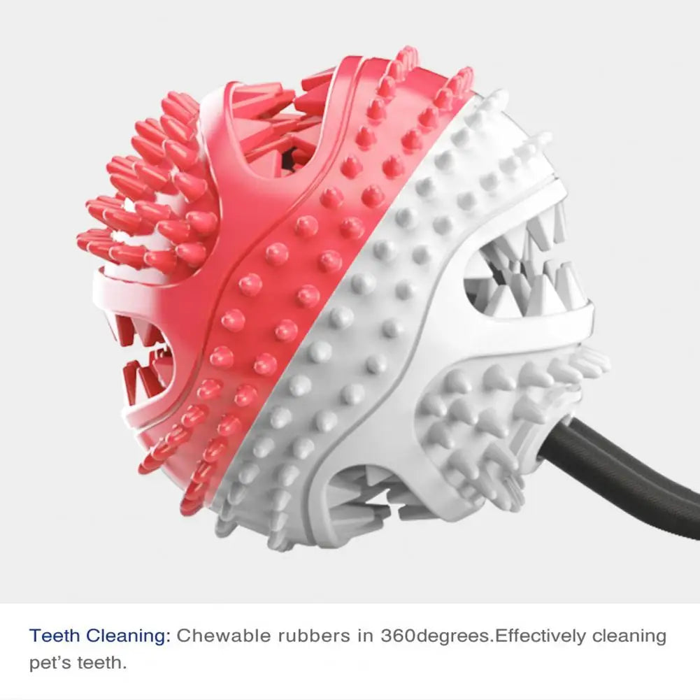 Dog Chew Toys for Aggressive Chewers