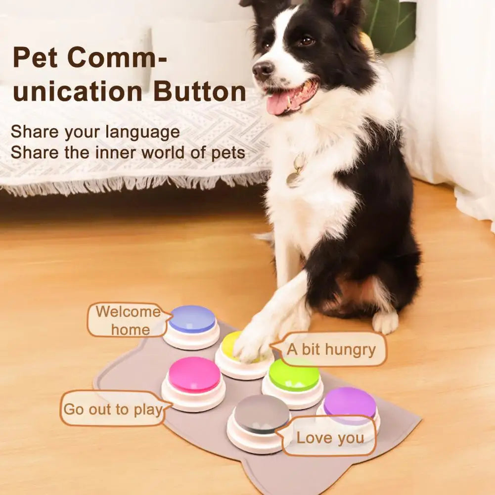 Pet Toy for Cats Dogs