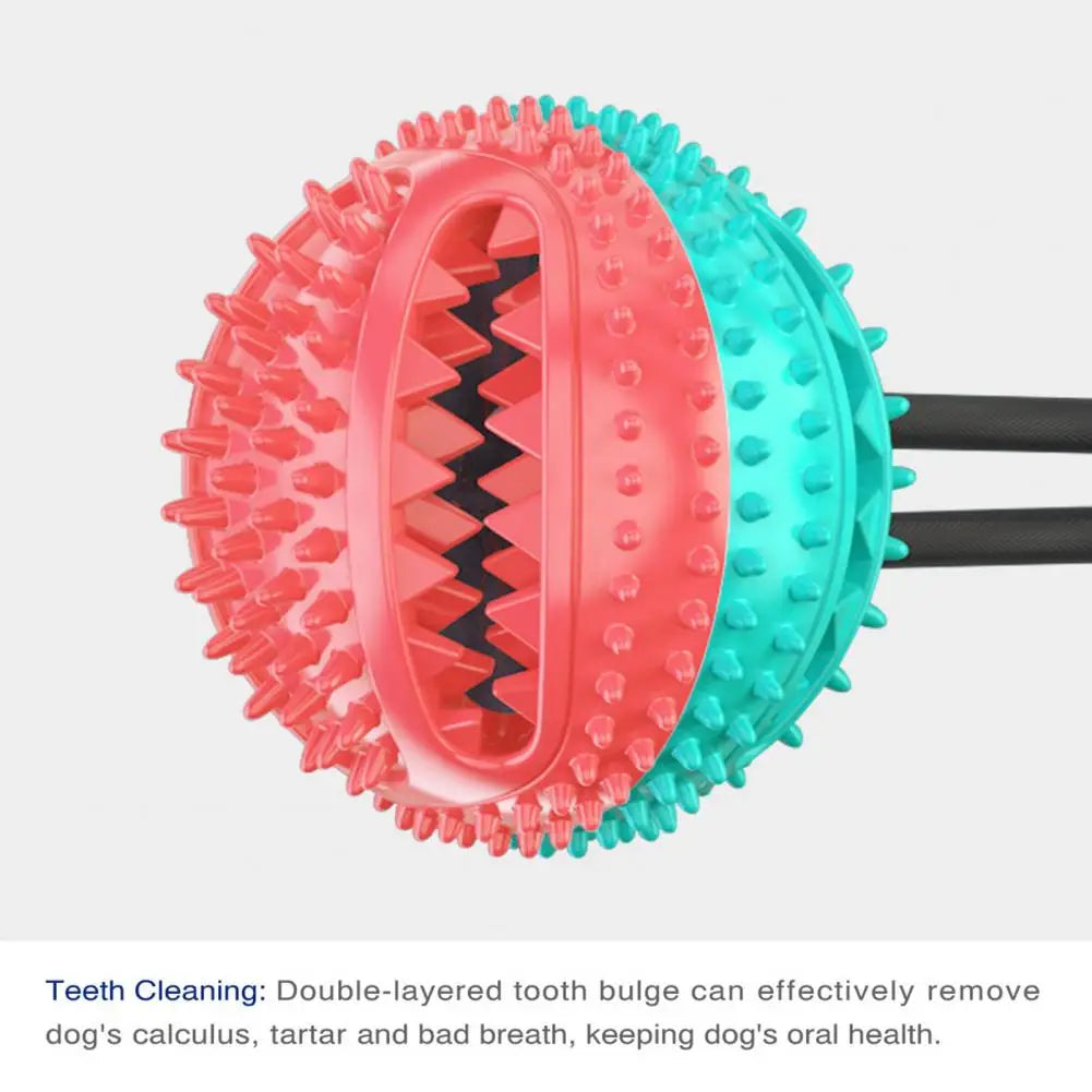 Dog Chew Toys for Aggressive Chewers