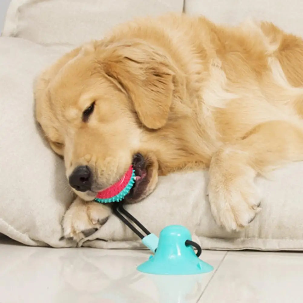 Dog Chew Toys for Aggressive Chewers