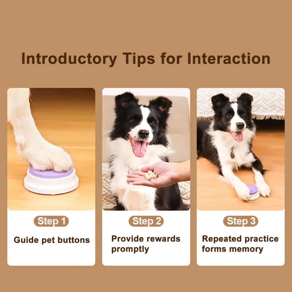 Pet Toy for Cats Dogs