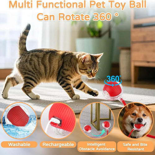Dog Cat Interactive Ball. Automatic Rolling Ball