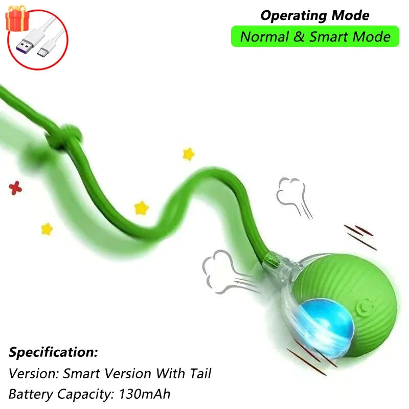 Dog Cat Interactive Ball. Automatic Rolling Ball
