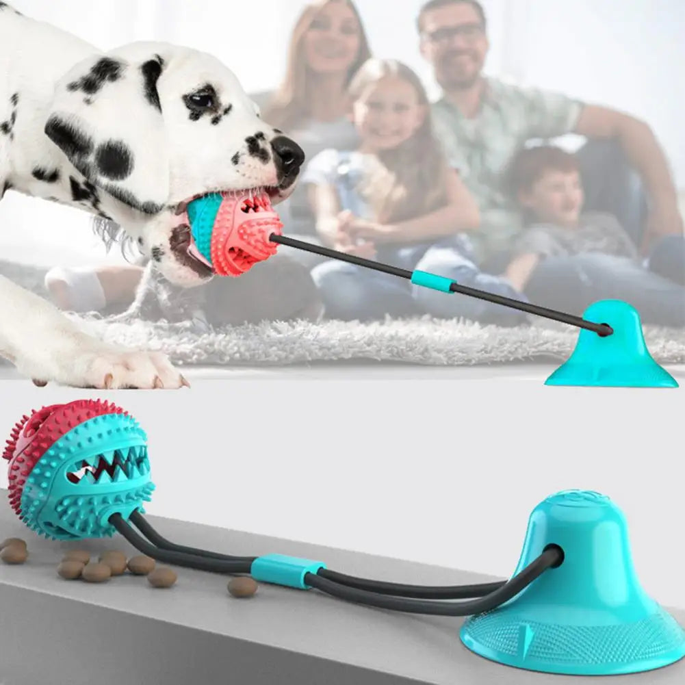 Dog Chew Toys for Aggressive Chewers
