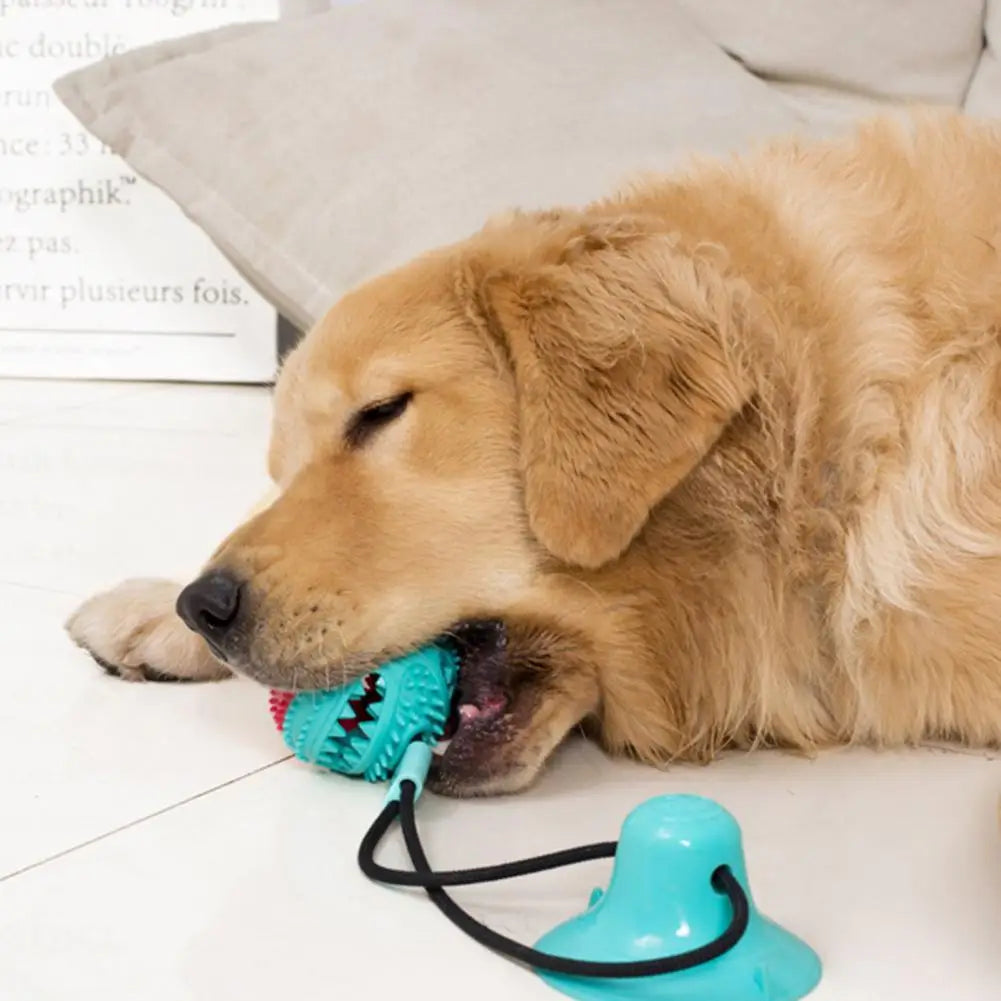Dog Chew Toys for Aggressive Chewers